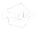 White Web Logo